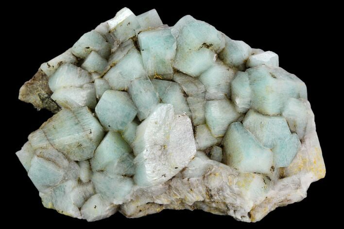Amazonite Crystal Cluster - Colorado #129664